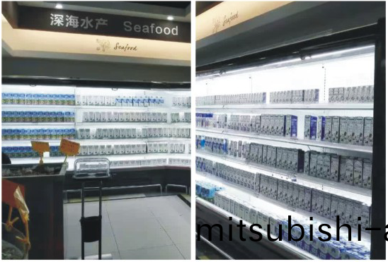 雙風(feng)幙(mu)立式(shi)風幙櫃